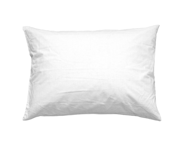 CloudSupport Pillow